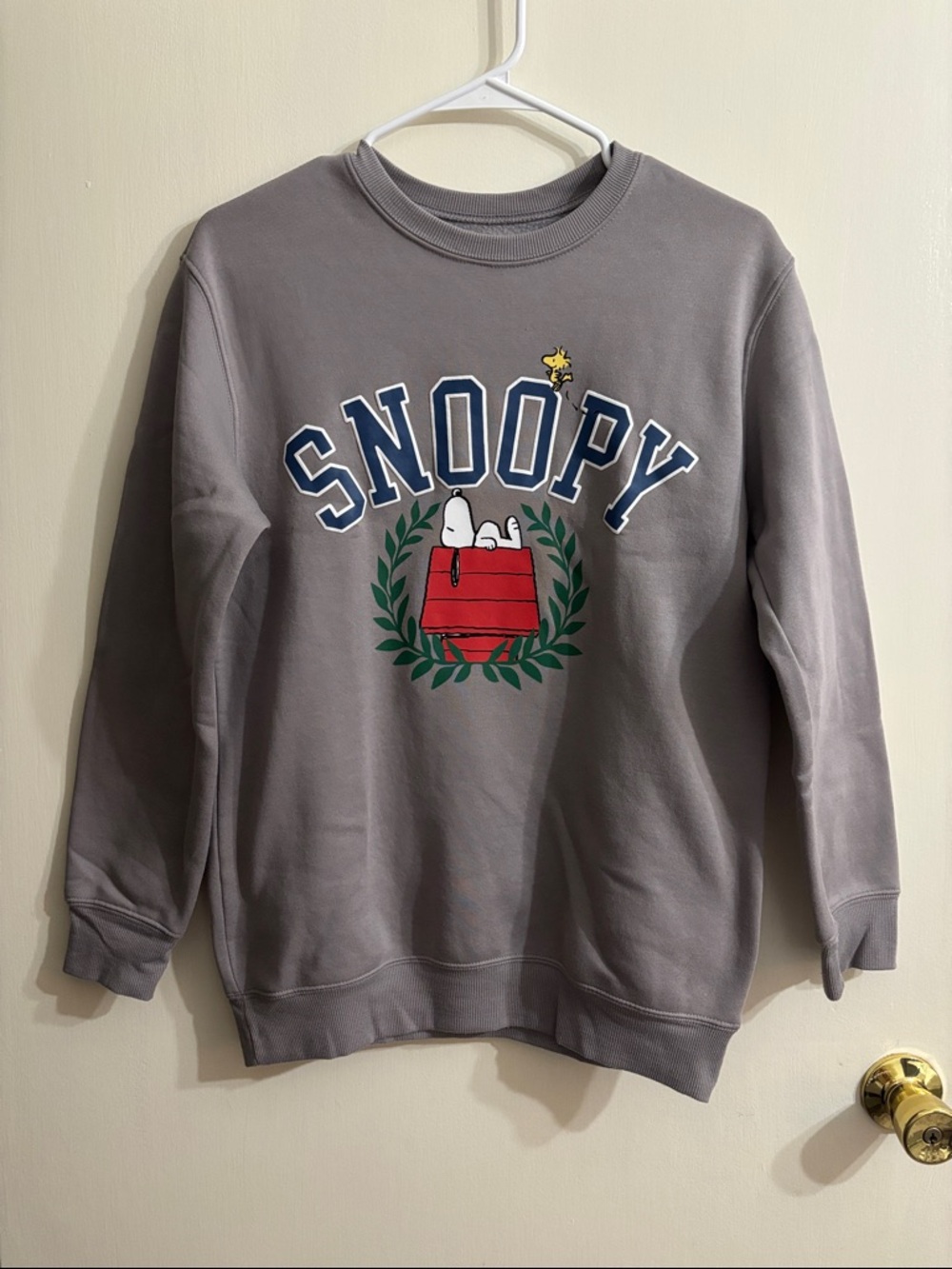 Peanuts Snoopy Crewneck Sweatshirt - Gray with Red & Navy Graphic